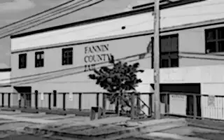 Fannin County Sheriff's Office